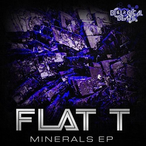 Flat T – Minerals EP