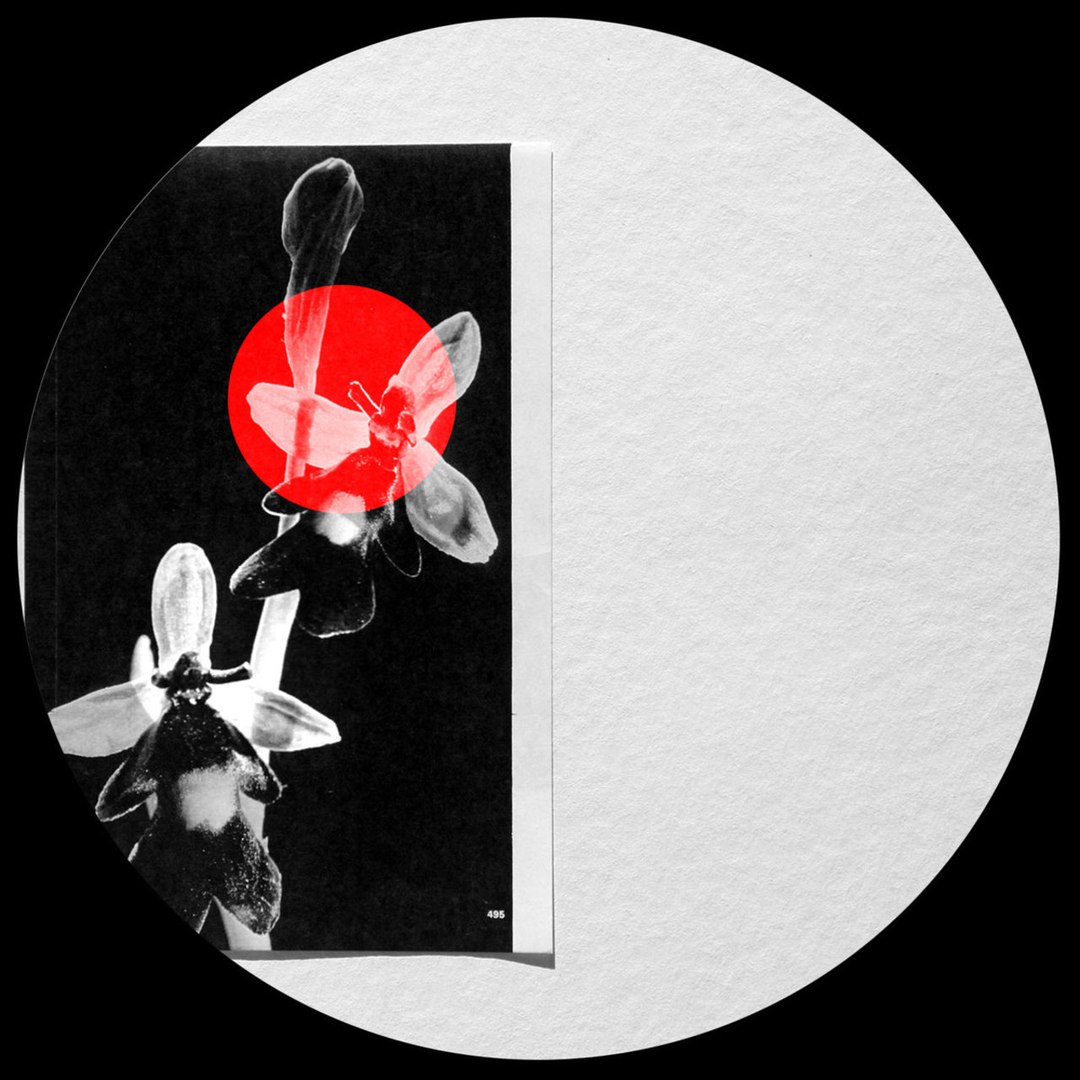 Graze – Kliph