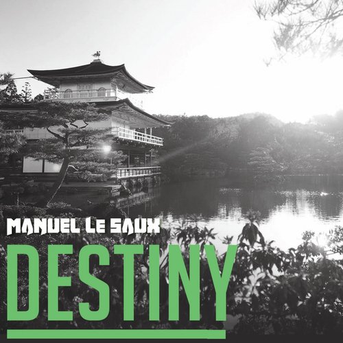 Manuel Le Saux – Destiny
