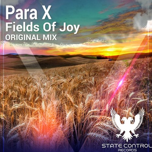 Para X – Fields Of Joy