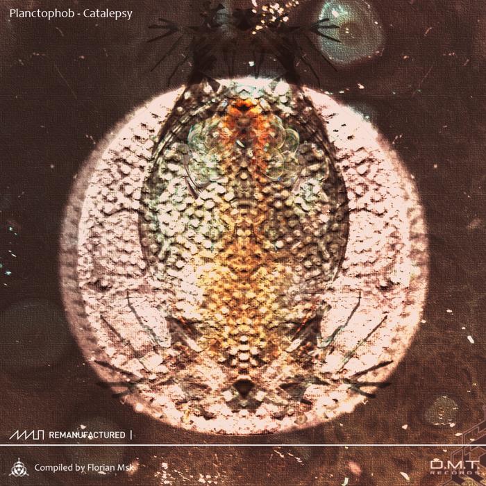 Planctophob – Catalepsy LP Remanufactured