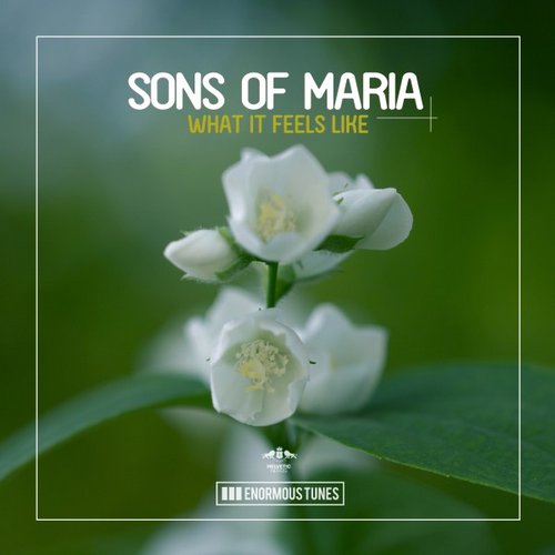 Sons Of Maria – What It Feels Like