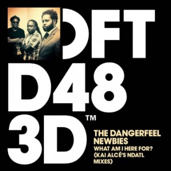The DangerFeel Newbies – What Am I Here For (Kai Alcé’s NDATL Remixes)