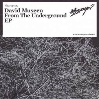 David Museen – From The Underground