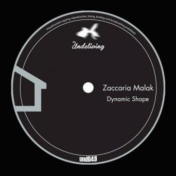 Zaccaria Malak – Dynamic Shape