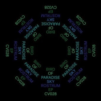 Bird Of Paradise – Sky Rostrum