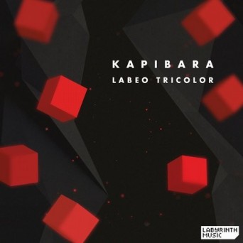 Kapibara – Labeo Tricolor