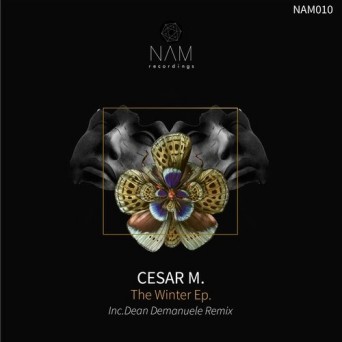 Cesar M – The Winter