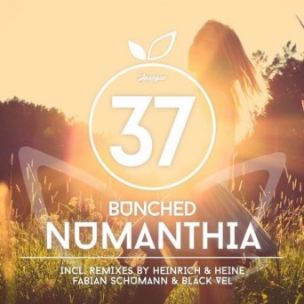 Bunched – Numanthia