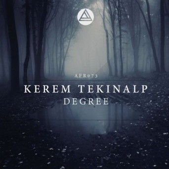 Kerem Tekinalp – Degree