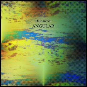 Data Rebel – Angular