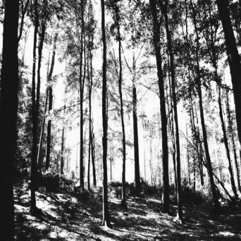 Folklore – Folktales 001