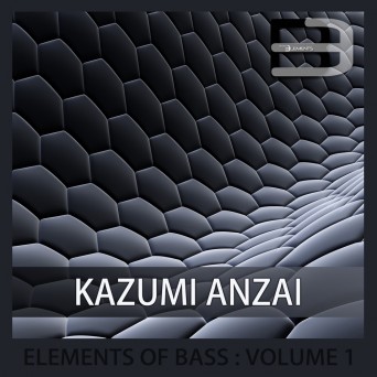Kazumi Anzai – Elements Of Bass Vol 1