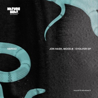 Joh Hash & Mood.b – Evolver