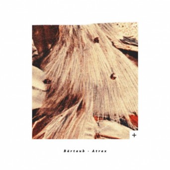 Bartaub – Atrax