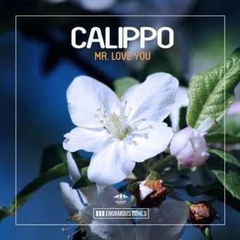 Calippo – Mr. Love You