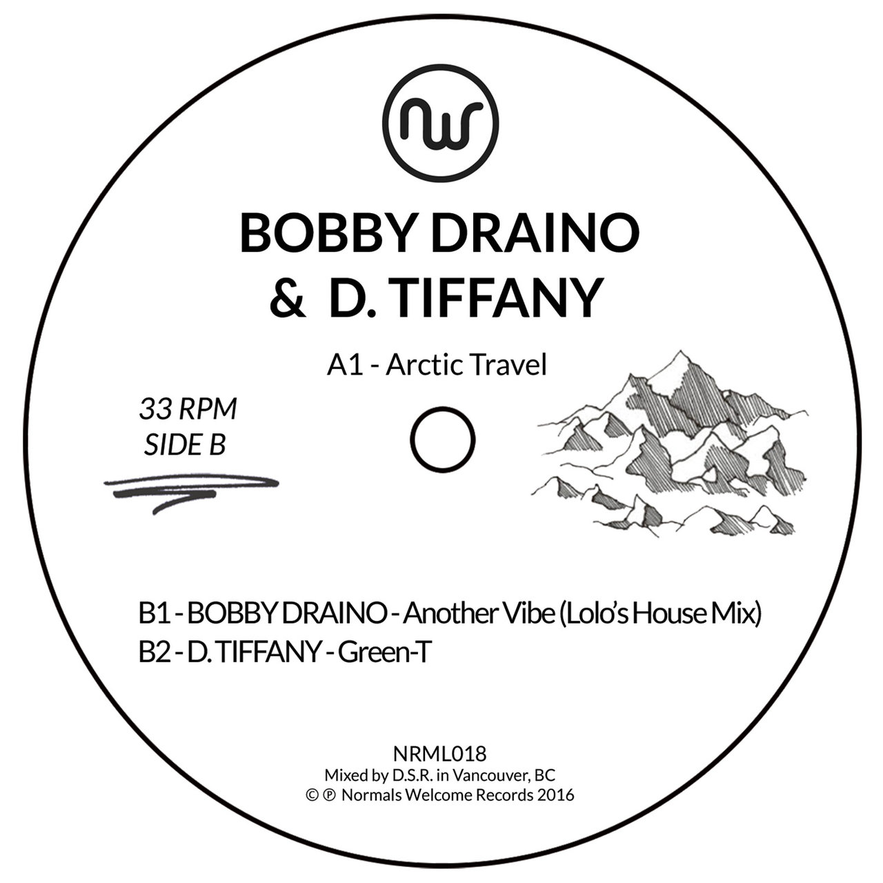 Bobby Draino & D. Tiffany – Arctic Travel