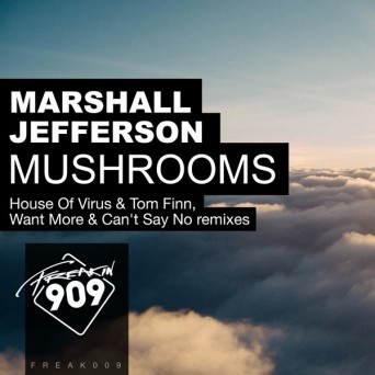 Marshall Jefferson – Mushrooms