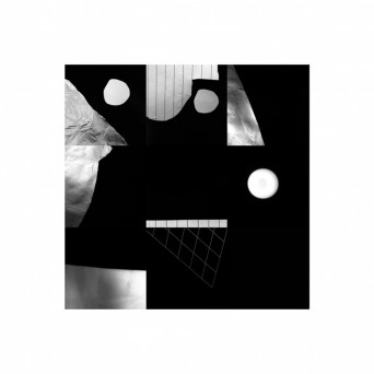 L/F/D/M – Crocodiles in the Ceiling