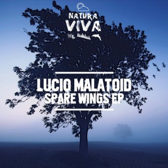 Lucio Malatoid – Spare Wings