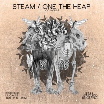 Joc House – Steam/One The Heap