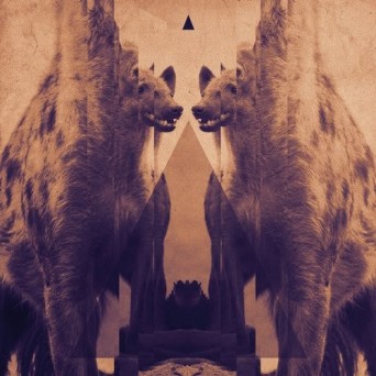 Hyenah – The Idea
