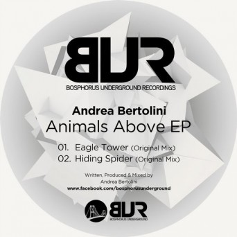 Andrea Bertolini – Animals Above