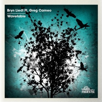 Bryn Liedl feat Greg Cameo – Wavetable