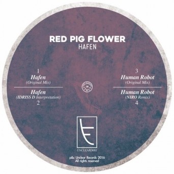 Red Pig Flower – Hafen