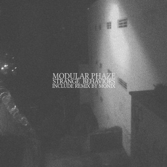 Modular Phaze – Strange Behaviors