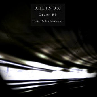 Xilinox – Order