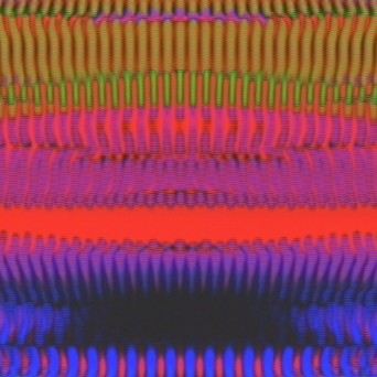 The Worm – The Worm