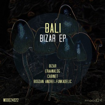 Bali Music – Bizar EP
