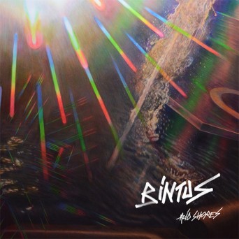 Bintus – Acid Shores