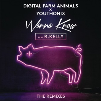Digital Farm Animals & Youthonix feat. R. Kelly – Wanna Know (Remixes)
