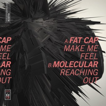 Fat Cap & Molecular – Make Me Feel / Reaching Out