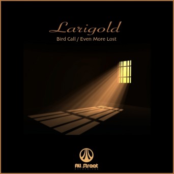 Larigold – Bird Call / Even More Lost