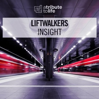 Liftwalkers – Insight
