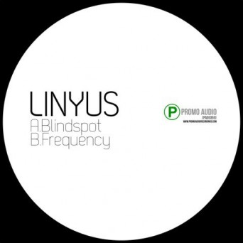 Linyus – Blindspot / Frequency