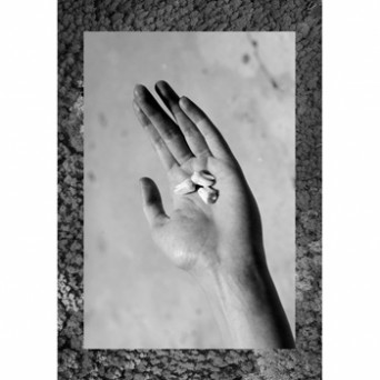 Oil Thief – In The Heat