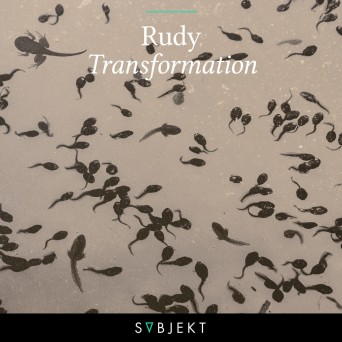Rudy – Transformation