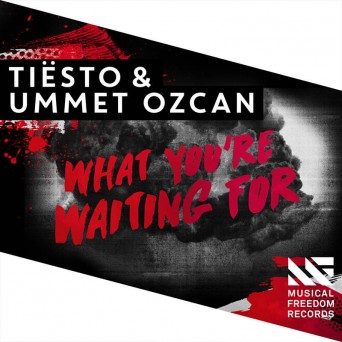 Tiesto & Ummet Ozcan – What You’re Waiting For