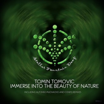 Tomin Tomovic – Immerse Into the Beauty of Nature