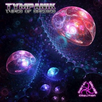 Tympanik – Types of Species