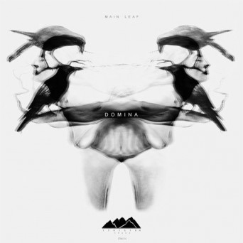 Main Leaf – Domina