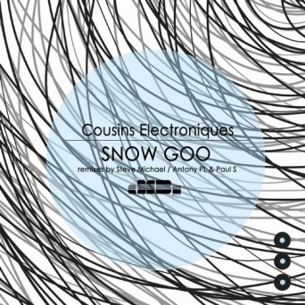 Cousins Electroniques – Snow Goo