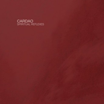 Cardao – Spiritual Reflexes