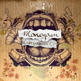 Monogam – Energieform
