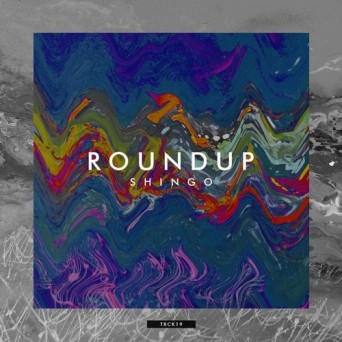Shingo – Roundup