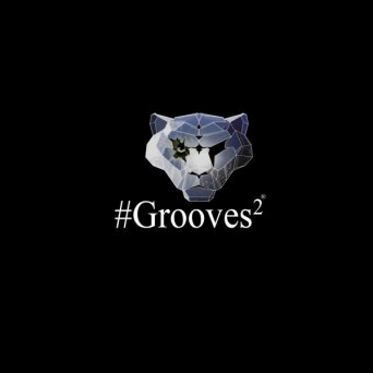 Bagira Ice Records: Grooves 2